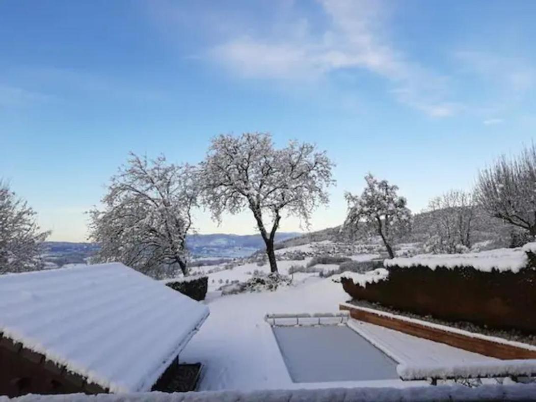 5 Min Des Pistes De Ski Grand Studio Mezzanine Viuz-en-Sallaz Buitenkant foto